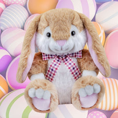 img_5348620