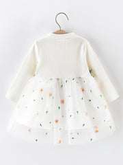 Baby Girl Ribbed Long Sleeve Floral Embroidered Mesh Dress