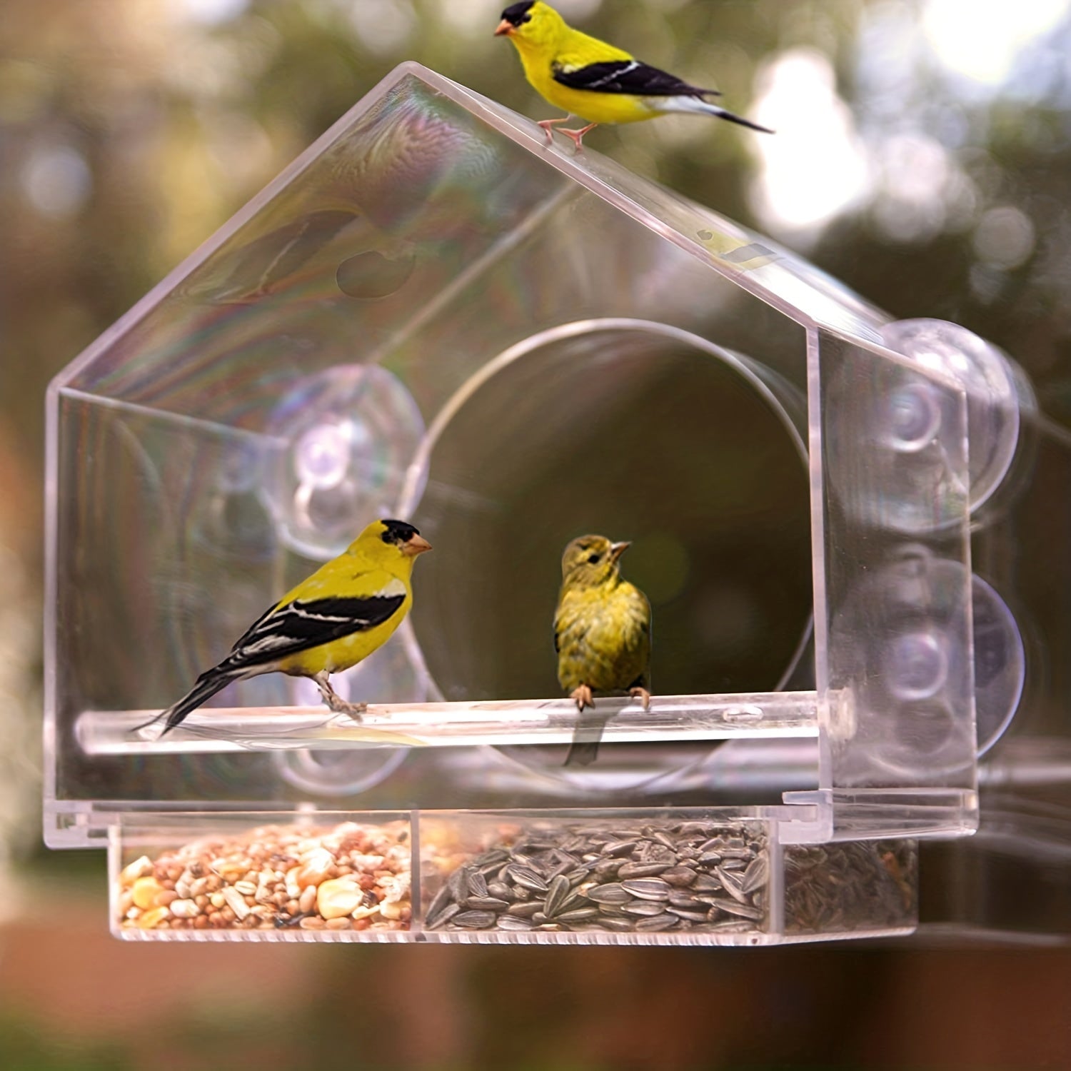 Acrylic Clear Glass Window Bird Feeder