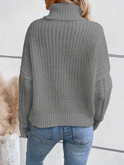 Solid Turtle Neck Pullover Sweater Long Sleeve Casual Winter Women's Clothing