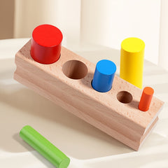 Wooden Matching Stick Training Recognition Hand Fine Motor Skills