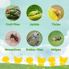 Fruit Fly Traps Fungus Gnat Traps Yellow Sticky Bug Traps - Non Toxic & Odorless