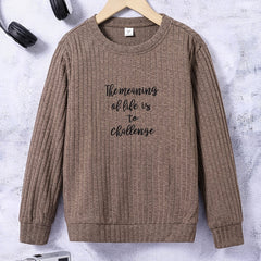 Boys Letter Embroidered Sweatshirt Crew Neck Tops