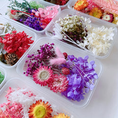 Eternal Flower DIY Group Set - Home Decoration Kit