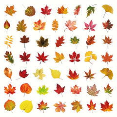 50pc Maple Leaves Stickers Adhesive Foam Fall Leaves Thanksgiving Party Decor