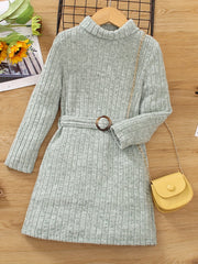 Toddler Girl Knitted Turtleneck Belted Sweater Dress