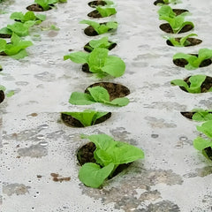 Plastic Film Garden Weed Control Barrier for Planting & Mulching