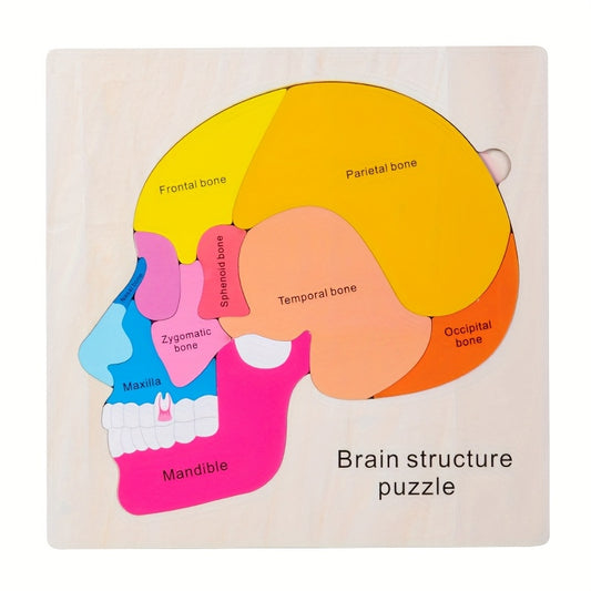 Wooden Brain Anatomy Puzzle for Kids Educational Toy
