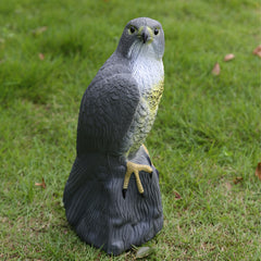 Simulated Garden Bait for Bird Repellent in Rural Areas