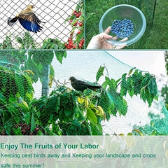 Anti Bird Netting Deer Fence Pond Netting Green Anti Bird Netting