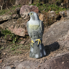 Simulated Garden Bait for Bird Repellent in Rural Areas