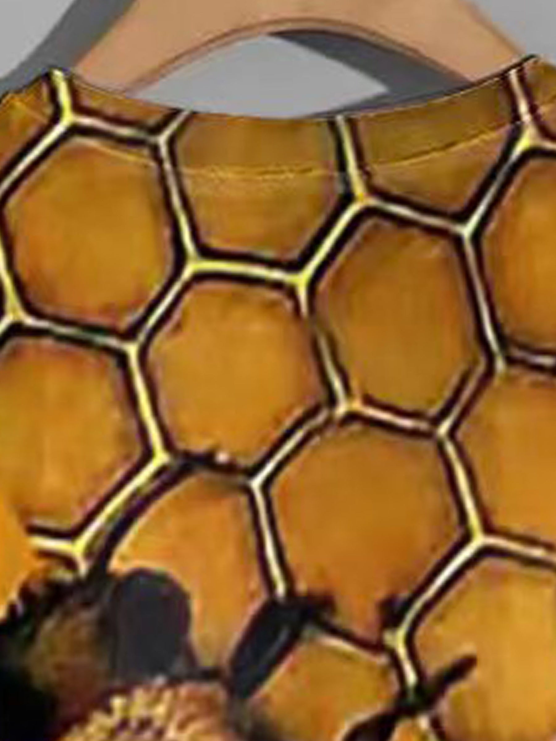 Bee 3D Graphic Print Men's T Shirt for Summer Outings