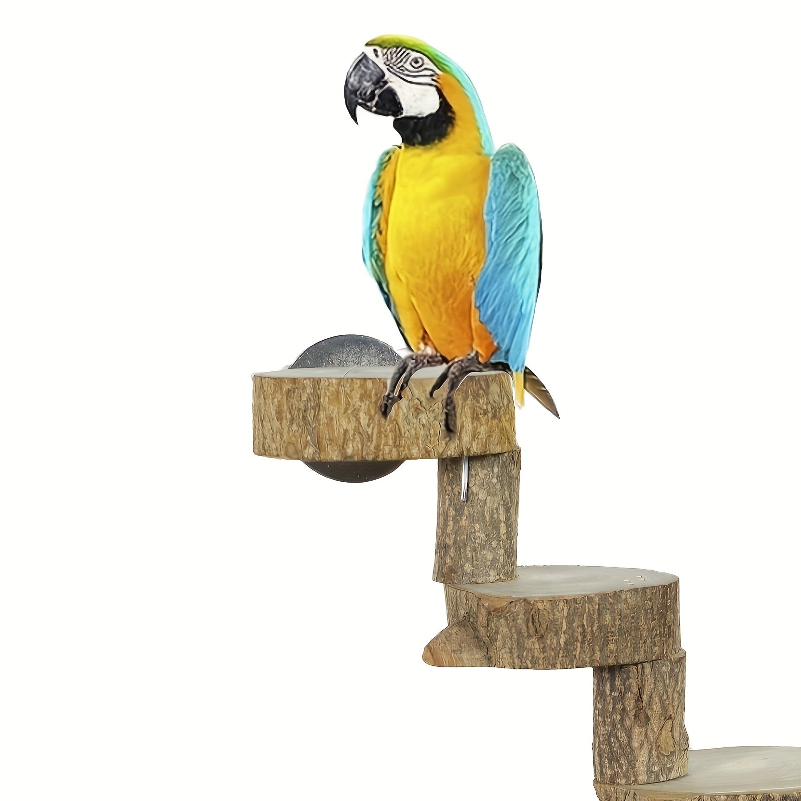 Parakeet Platform Perch Playground For Large Birds