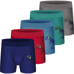 5pcs Boys Cartoon Boxer Briefs Underwear