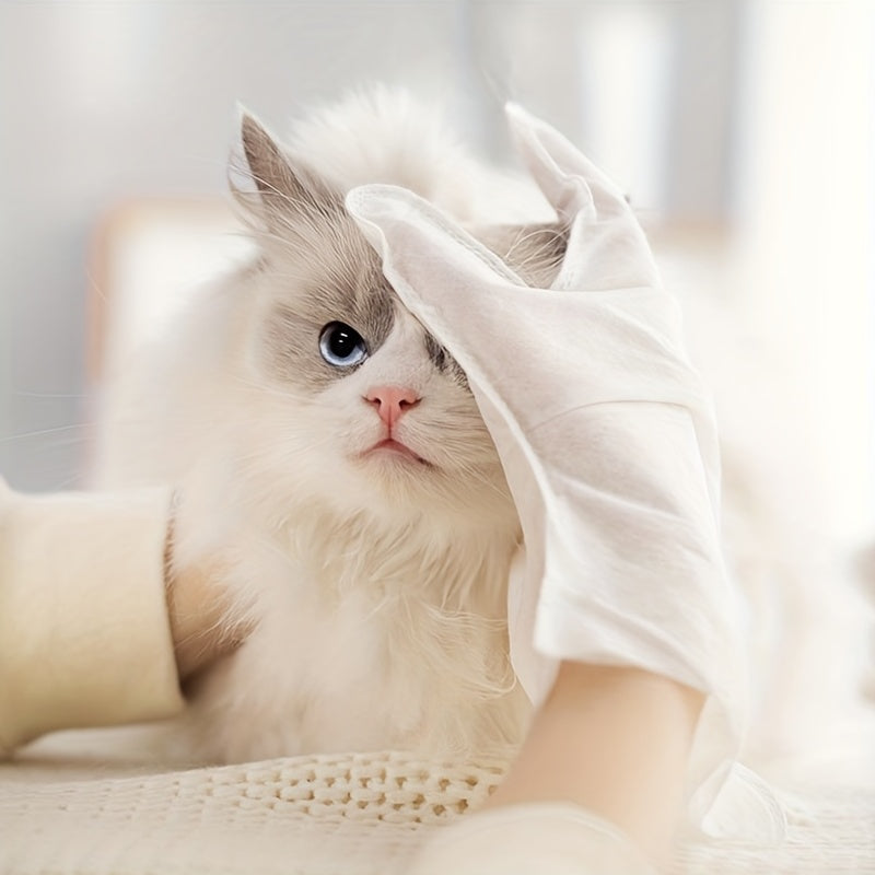 Pet Glove Cleaning Wet Wipes Deodorizing Cat Dog Stain Remover 10pcs