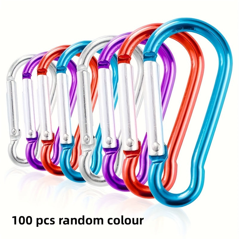 Mini Carabiner Keychain For Keys And Camping Tools