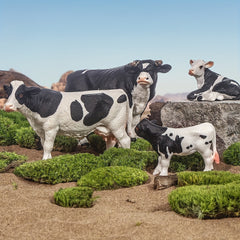 4pcs Simulation Animal Hereford Bull And Cow Combo Set