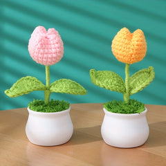 Handmade Crochet Wool Eternal Flower Daisy Tulip Gift