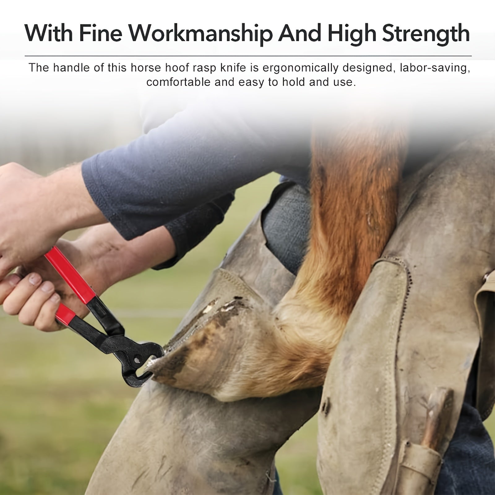 Professional Horse Farrier Hoof Trimmer Kit for Equine Care