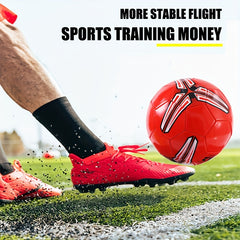Professional Training Soccer Ball Wear-resistant Football Triangle Model
