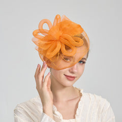 Mesh Veil Hat with Feather Accents