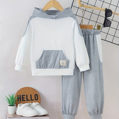 Boy's 2pcs Hoodie & Elastic Waist Pants Set for Spring Fall