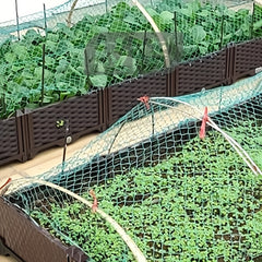 40ft Bird Netting Protects Garden Plants Flowers Trees Vegetables from Pests