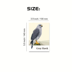 Birds Poster Hand Drawing Style For Kids Room Decor