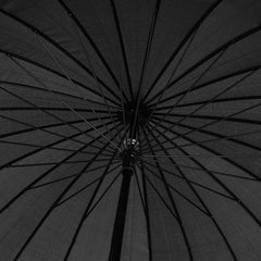 img_5308922