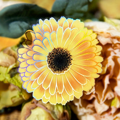 10PCS Flower DIY Paper Stickers Art Supplies PET DIY Decorative Planning