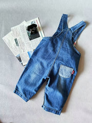 Baby Boys Animal Bib Overalls Pants