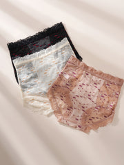 3 Pack Lace High Waist Panties Ditsy Floral Semi Sheer Briefs