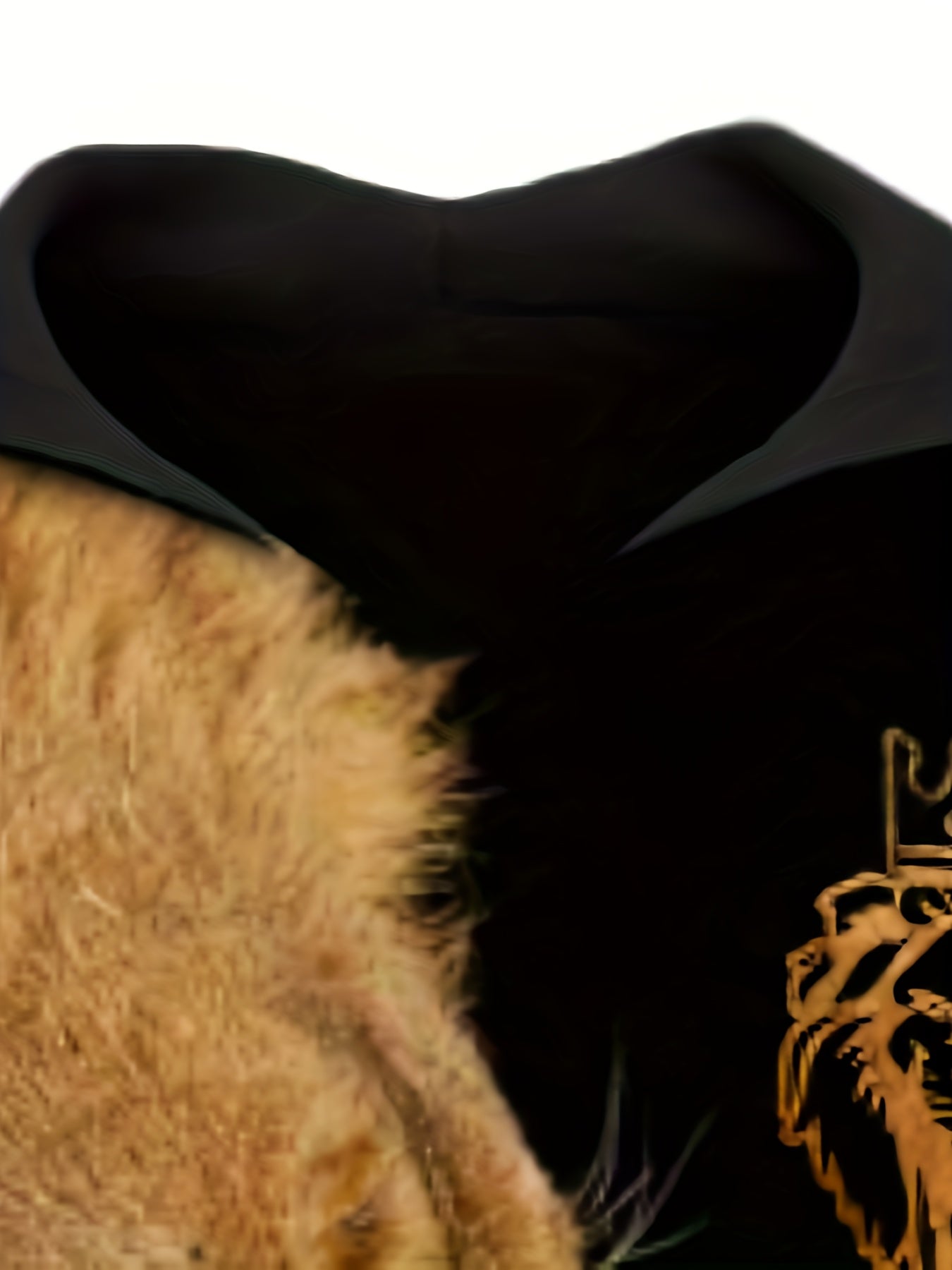 Men's Lion Print Hoodie Slightly Stretch Hooded Sweatshirt