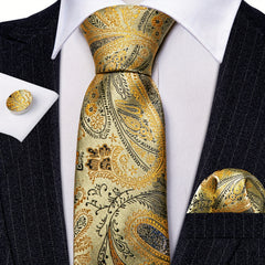 Barry Wang Men's Neckties Paisley Pocket Set