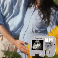 Elephant Ultrasound Frame + Countdown Blocks - Parent Gift