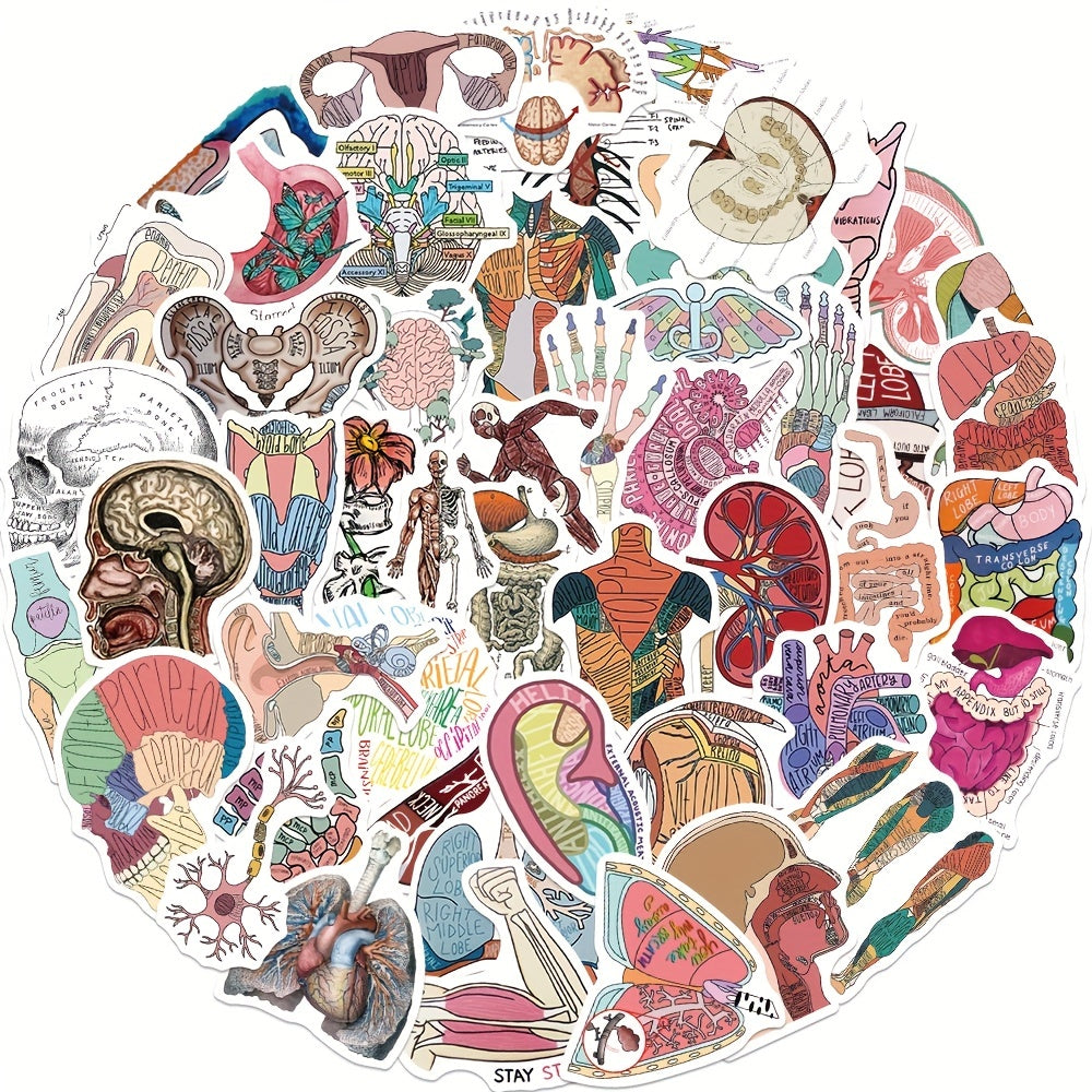 50pcs Anatomy Organ Doodle Stickers for Guitar Laptop Water Cup Luggage Helmet