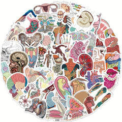 50pcs Anatomy Organ Doodle Stickers for Guitar Laptop Water Cup Luggage Helmet
