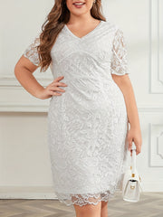 Lace Sleeve V Neck Waist Dress