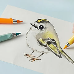 48 Colored Pencil Lead Replacement for Painting and Writing