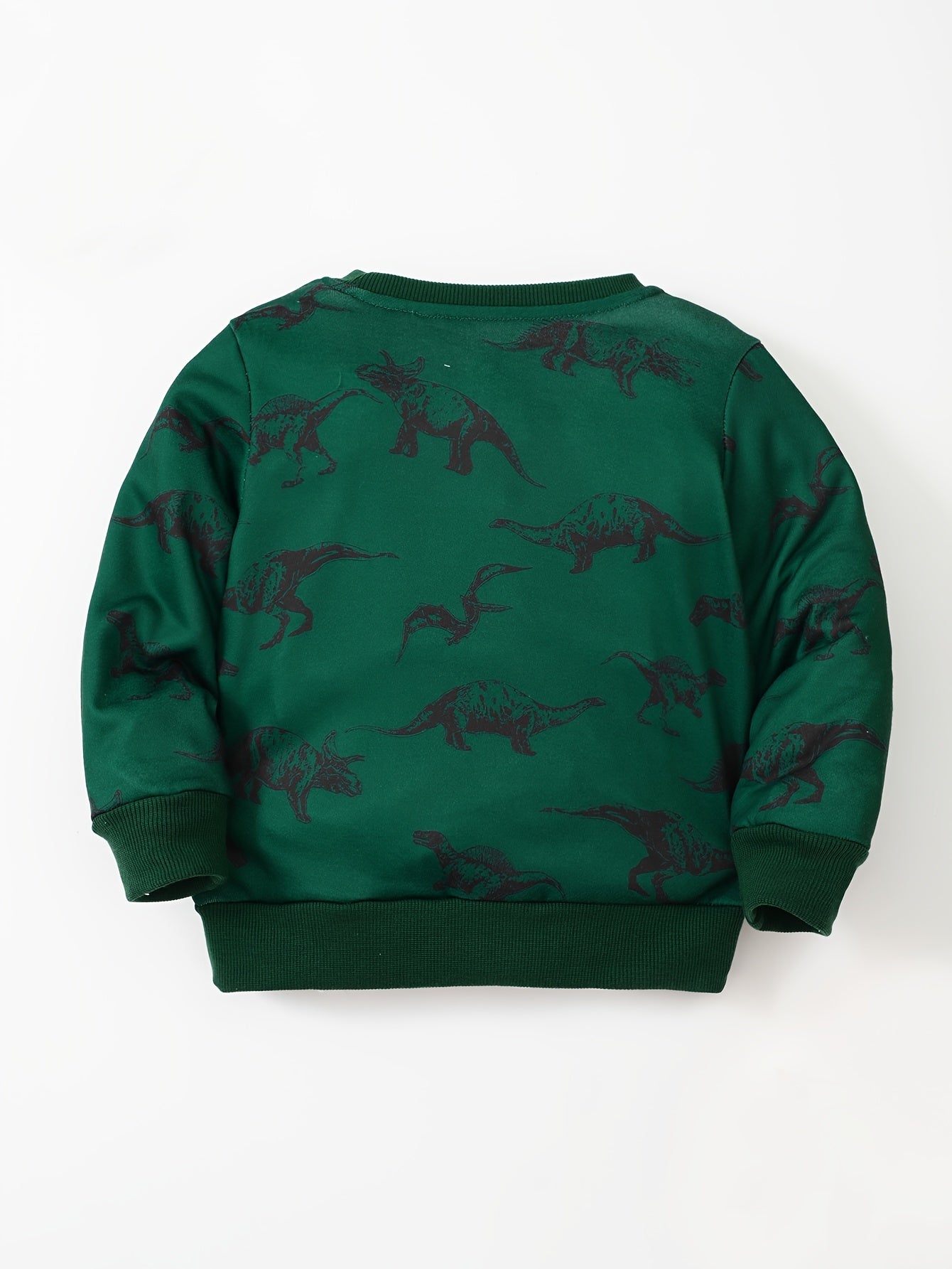 Boys Dinosaur Pullover Sweatshirt Round Neck Long Sleeve Warm Top