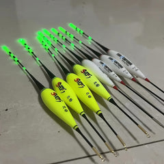 1pc Fishing Electronic Float Changing Float Bite Indicator 5g 7g 8g 9g 10g 20g