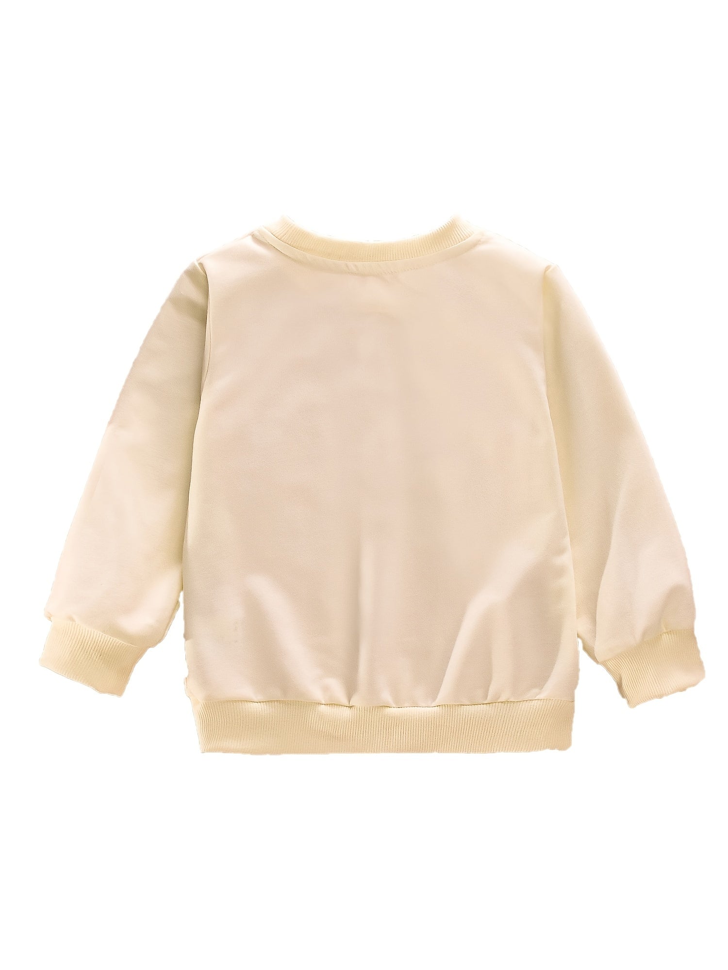 Boys Pumpkin Print Crew Neck Sweatshirt Long Sleeve Casual Top