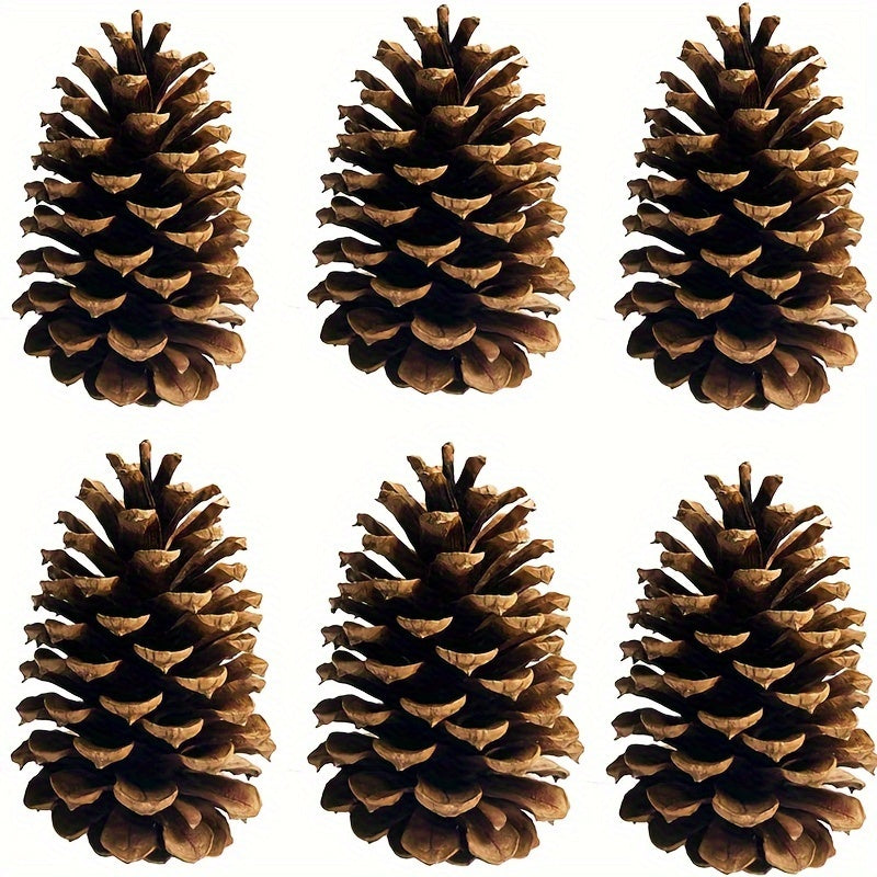 6pcs Christmas Pine Cones Natural Ornaments For Tree Party