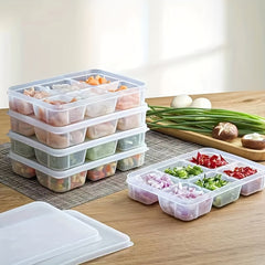Preparation Lunch Box Freeze Meat Onion Ginger Garlic Storage