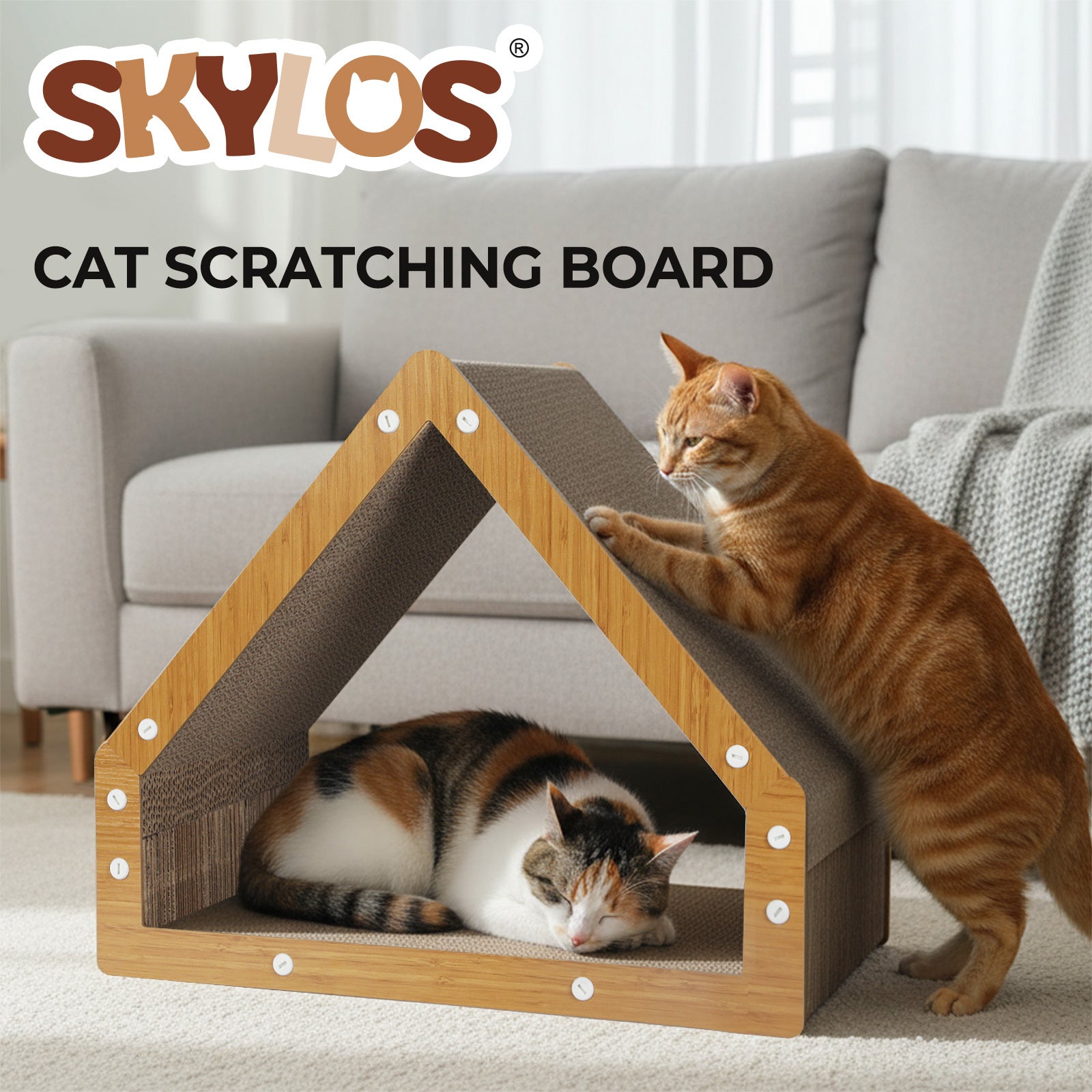 img_6353486
