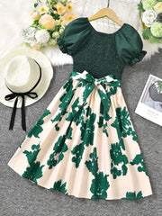 Toddler Girls Puff Sleeve Leaves Graphic Princess Dress