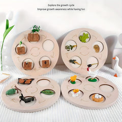 Bean Sprout Salmon Chicken Growth Model