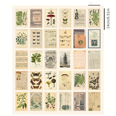 30 Sheets Biology Postcard Non Sticky Postcard Home Decor