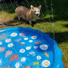 37in Alphabet & Number Learning Mat Splash Pad