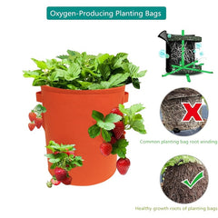 Heavy Duty Non Woven Fabric Planter Bags for Growing Plants